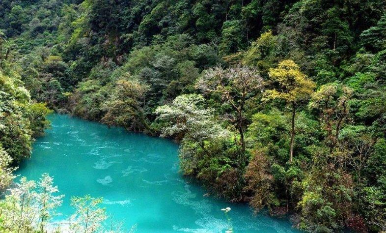 全国疫情放宽以后,你最想去的地方是哪里?-红迪网平台